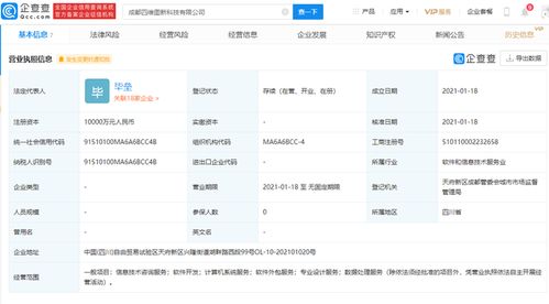 軟件外包服務(wù) 全球化時代的智能解決方案